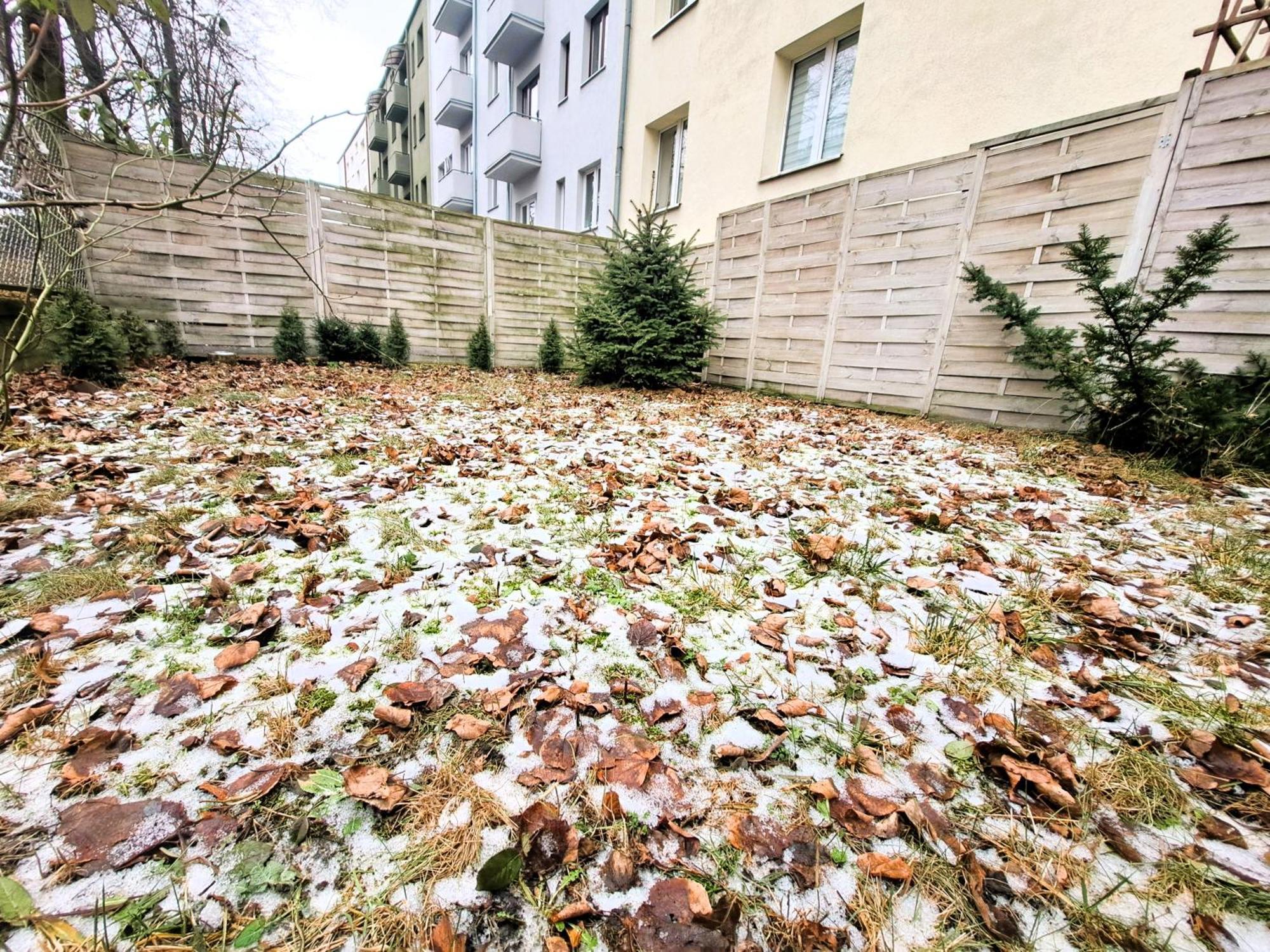 Apartament Z Ogrodem W Sercu Torunia Kültér fotó